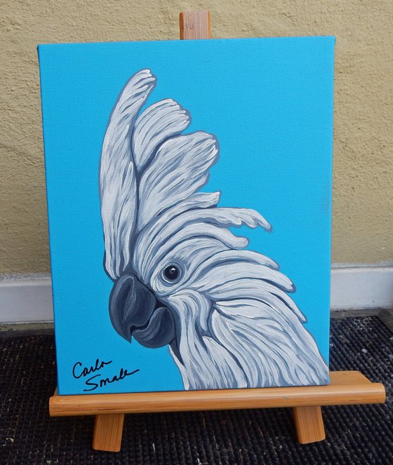 Umbrella Cockatoo Pet Bird Art Original Canvas 8 x 10-Carla Smale