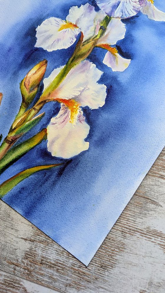 White Iris Symphony