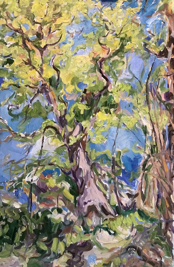 OAK TREES - vivid landscape, wood, forest, abstract, blue, life