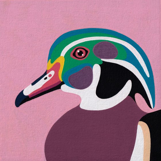 Wood Duck