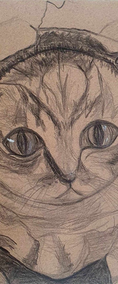 Hello Pussycat! | Cat Drawing with Pencil and Black Pencil Colour by Kumi Muttu