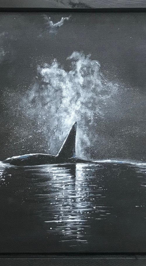 Moonlit Killer Whale by Ewen Macaulay