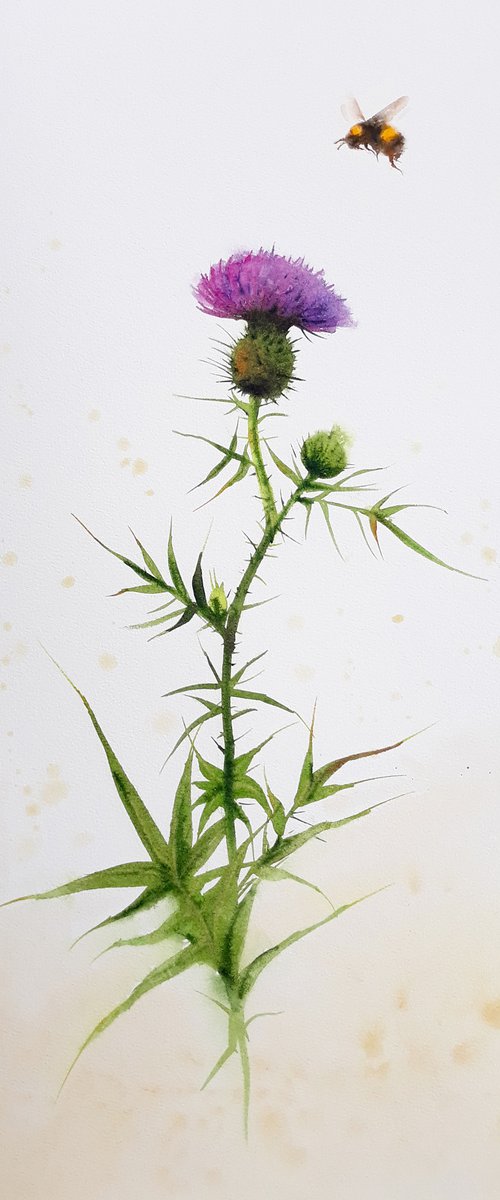 Bumble Bee and Thistle Flower by Olga Beliaeva Watercolour