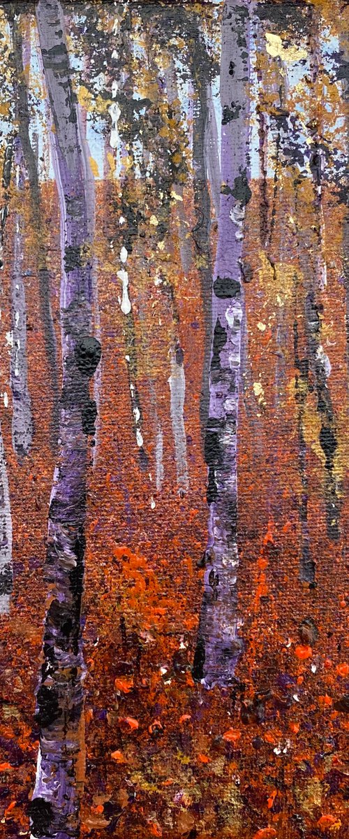 Silver Birch Tree Woods 1 by Teresa Tanner
