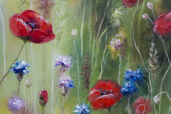 Poppies and Cornflowers in the Grass