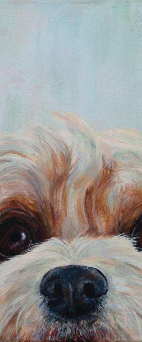 Sasha by Ruth  Aslett