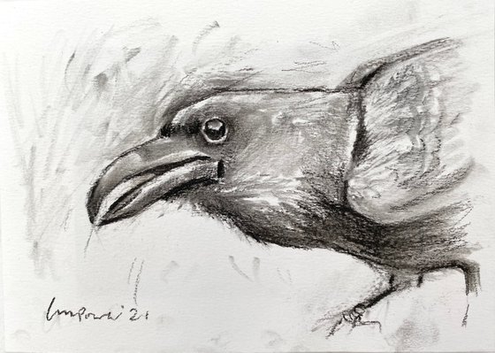 Charcoal Raven #04