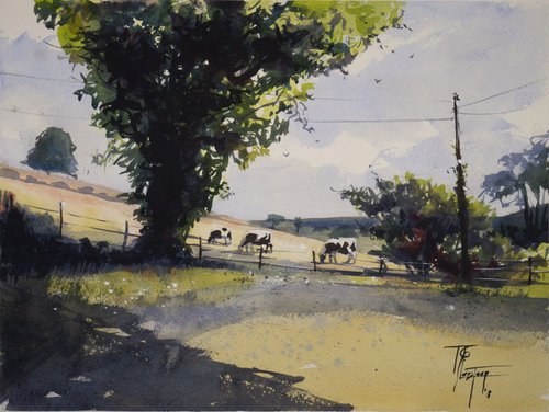 Cows on the hillside by Tyl Destoop