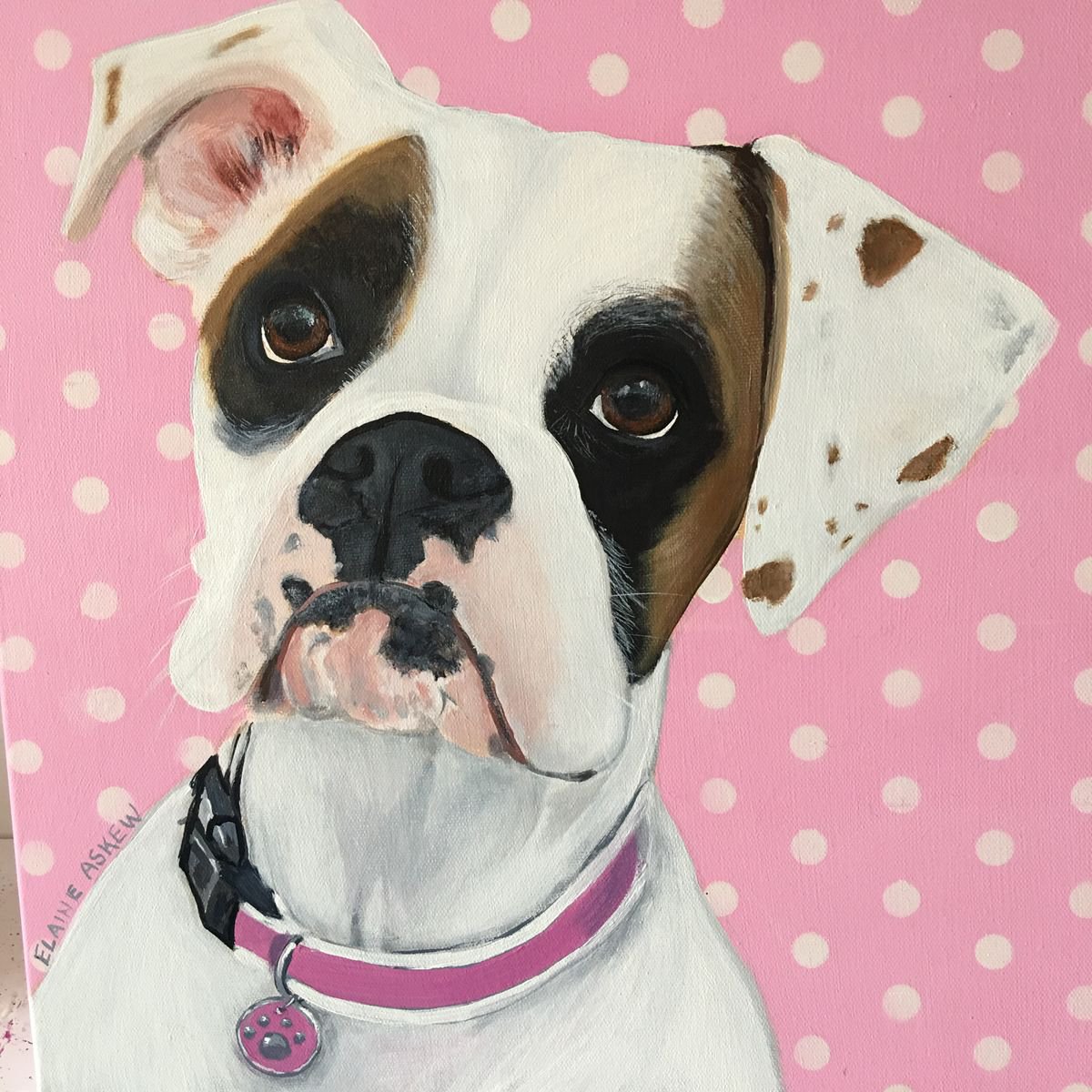 MAISIE - THE BOXER by ELAINE ASKEW