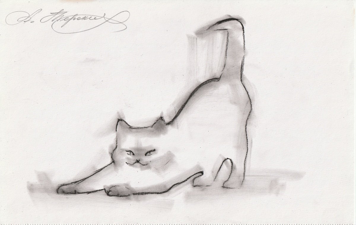 Animal Charcoal Drawing By Anastasia Terskih, 12 X 7, Cat, Original Artwork