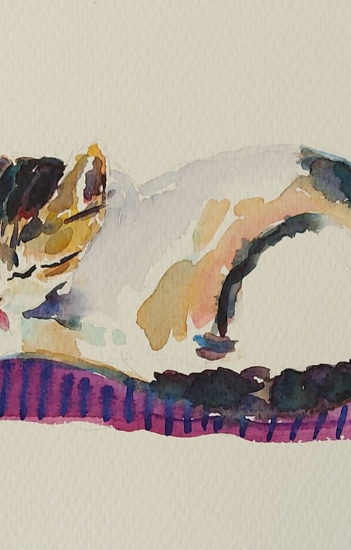 Cat asleep on a mat by Silvia Flores Vitiello