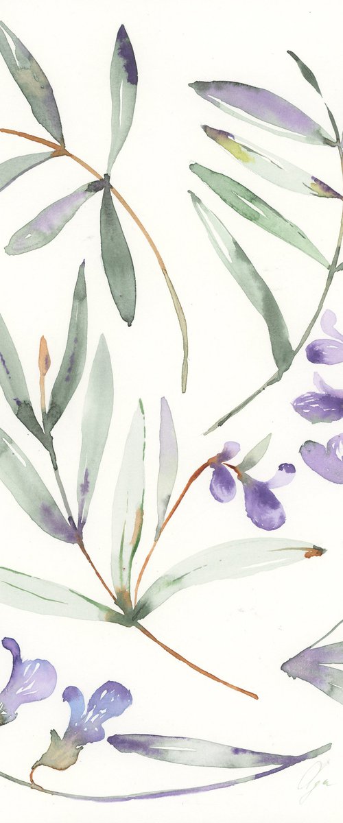 Dusty purple meadow flowers with green leaves by Olga Koelsch