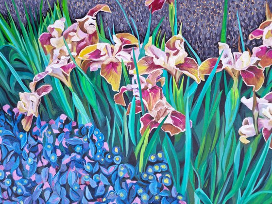 Copper Irises