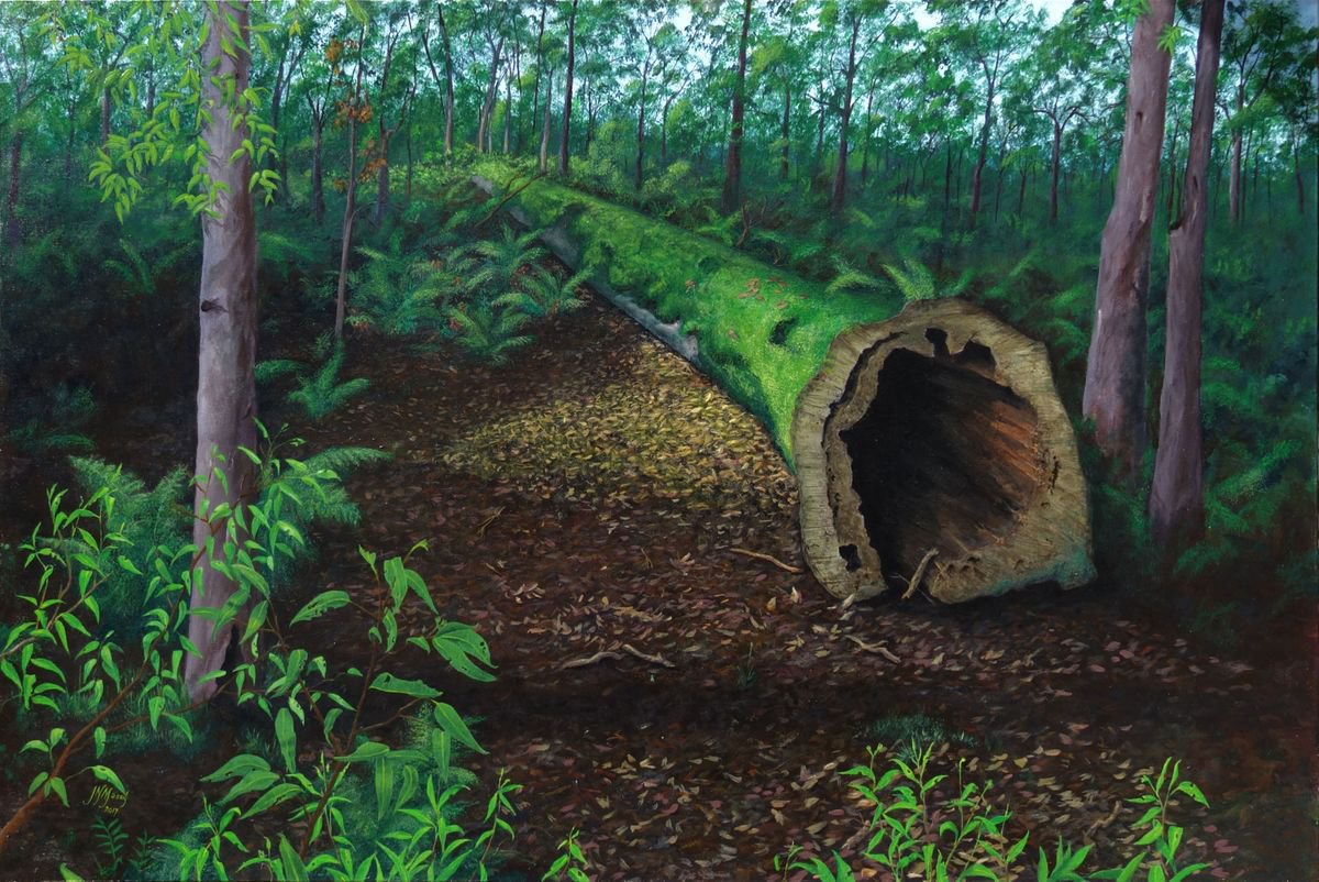 Fallen Moss Covered Tree by John N Mason