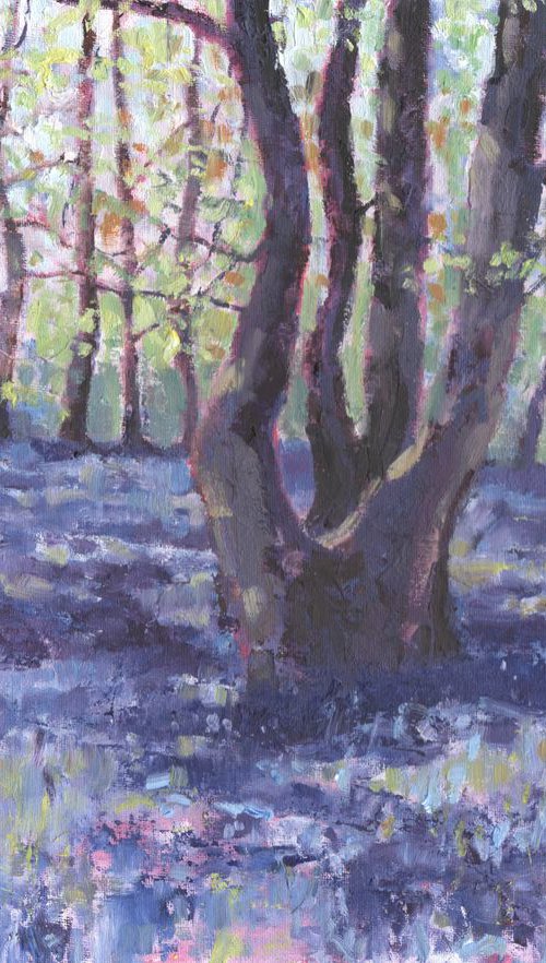 Abstract Bluebell Wood by Zoe Elizabeth Norman