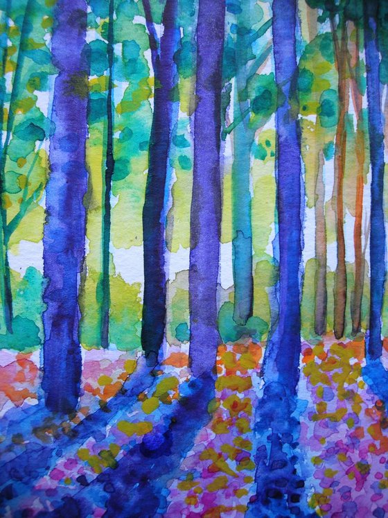 Morning forest