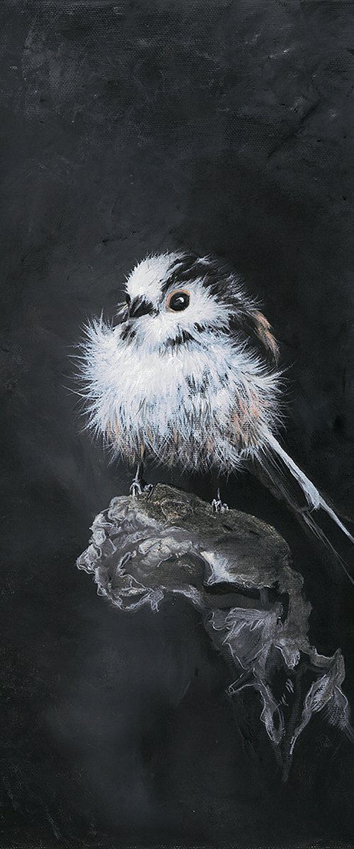 'Long Tail Tit' by Nicola Colbran