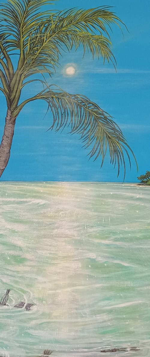 Escape from pirate island by Zoe Adams