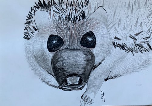 Hedgehog Big Face / Bird Art / Animals & Birds / Animal Portrait / Owl Art / Bird Art / Black and White / Original Artwork / Gifts For Her / Home Decor Wall Art 11.7"x16.5" by Kumi Muttu