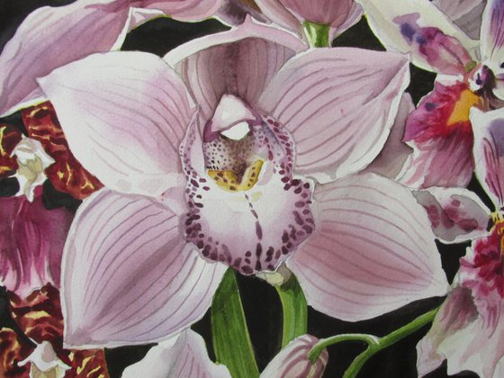 orchid bouquet