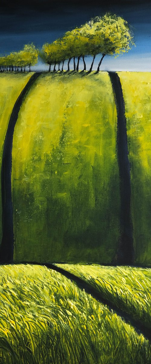 August's breeze-  Fields and Colors Series by Danijela Dan
