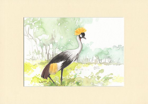 Wild nature - Crane 2