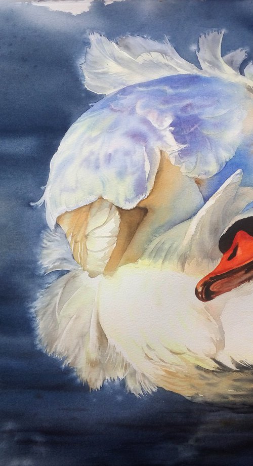 Swan Fidelity by Olga Beliaeva Watercolour