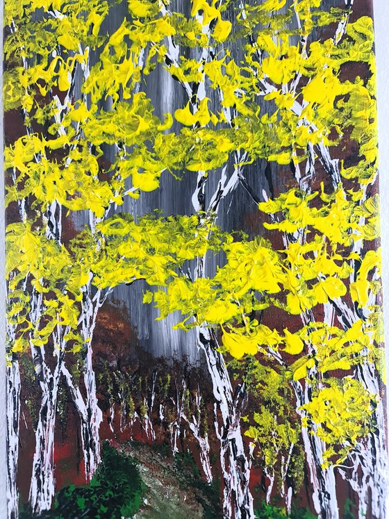 Heavenly Birches 5
