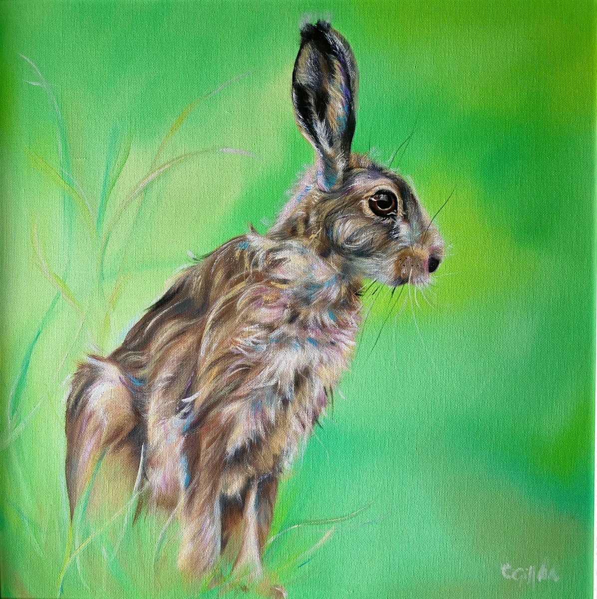 Hare Today, 20 x 20 by Carol Gillan