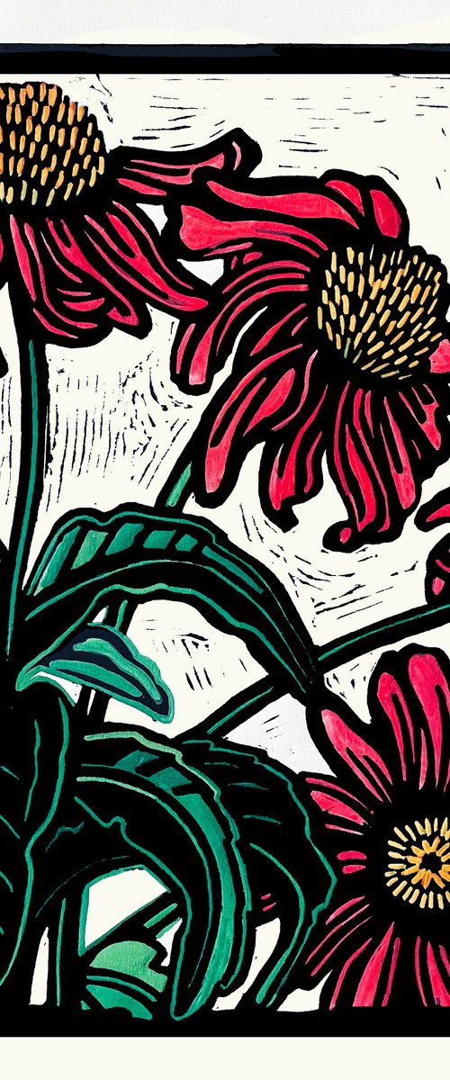 Magenta Echinacea by Laurel Macdonald