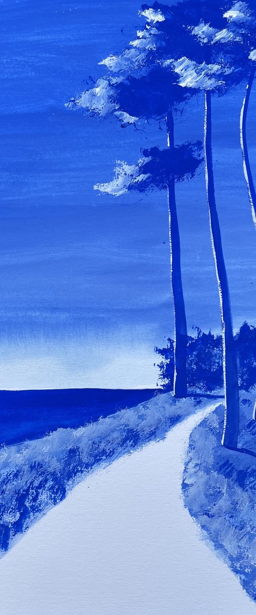Ultramarine coastal path by Cadiou Frederic