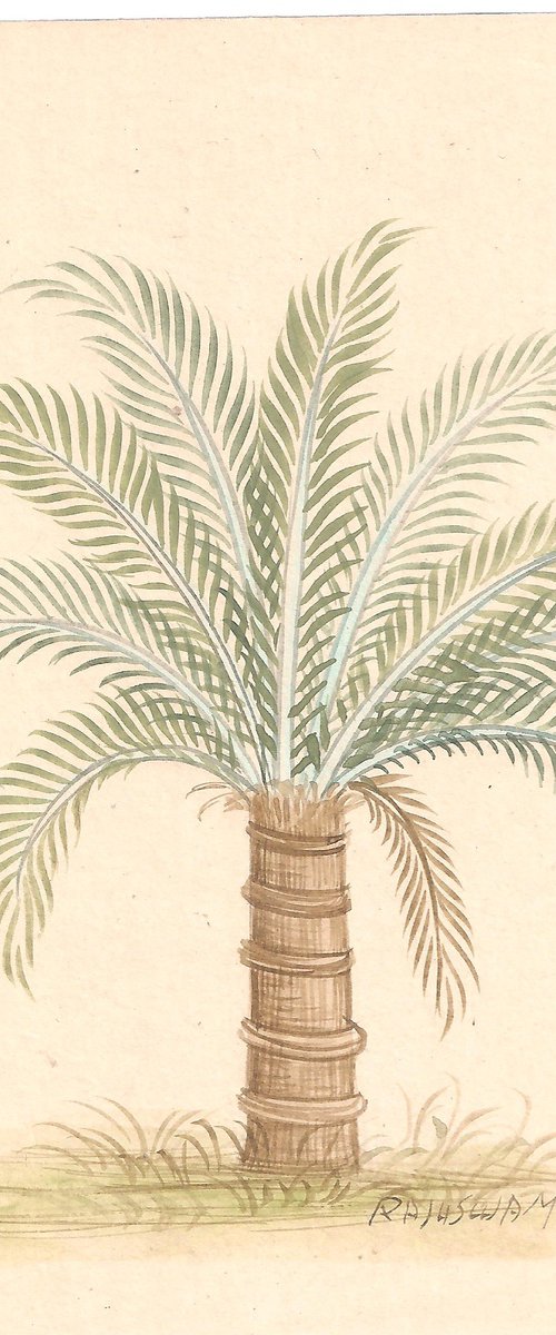 Date Palm | Indian Miniature by Mukesh Swami