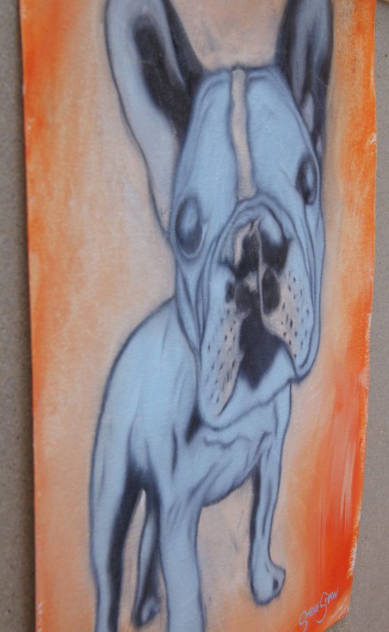 Sky Blue Pooch ( oil on paper ) Free Shipping