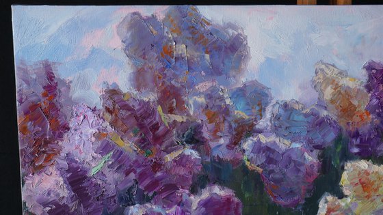 Sunny Lilac Branches