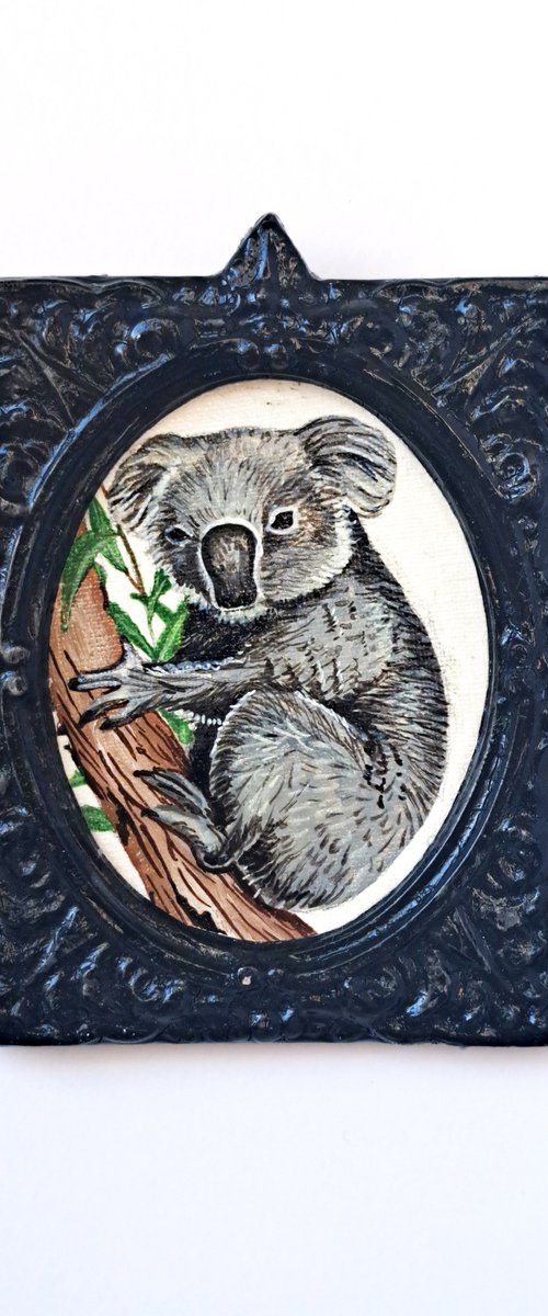 koala, part of framed animal miniature series "festum animalium" by Andromachi Giannopoulou