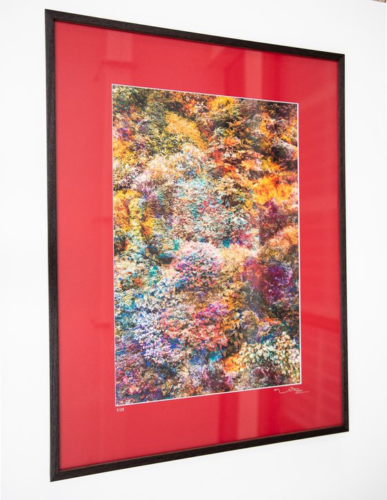 Wall of Nature LVI (Framed)