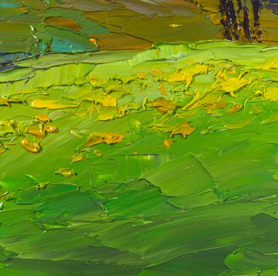 Mountain Flower Fields