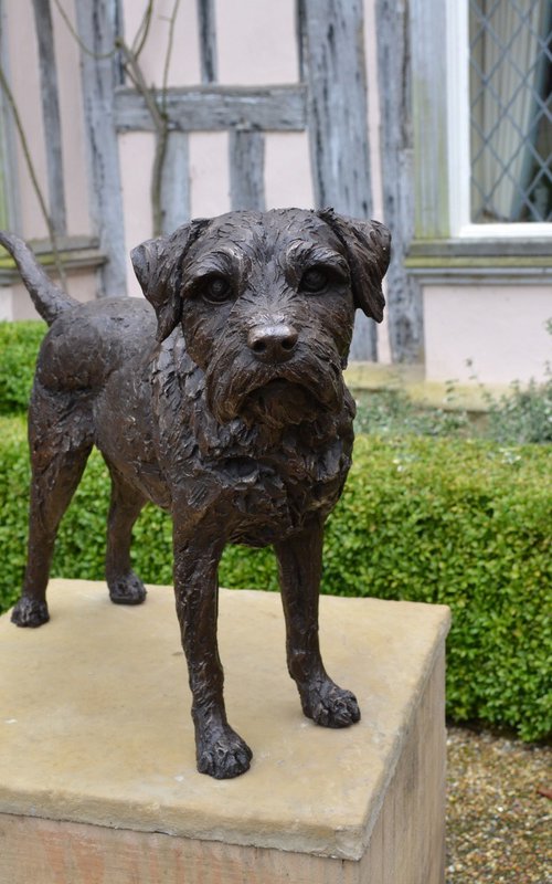 Standing Border Terrier BR by Tanya Russell