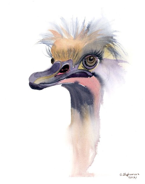 Ostrich - Original Watercolor Painting by Olga Shefranov (Tchefranov)