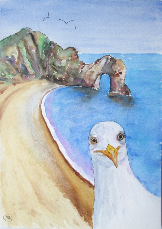 Seagull at Jurassic Coast's Durdle Door