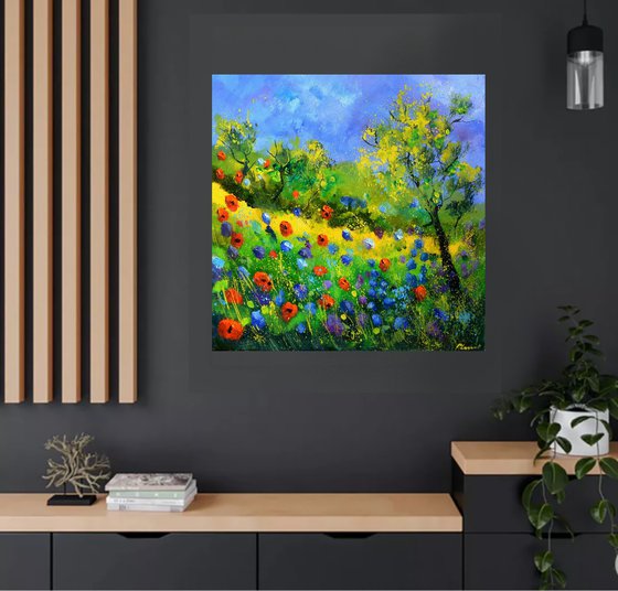 Red poppies 7788