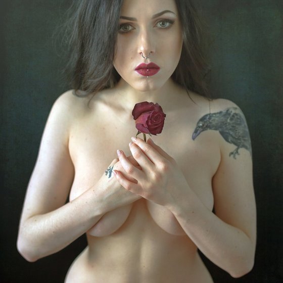 Rose,, 100x100 cm, canvas.