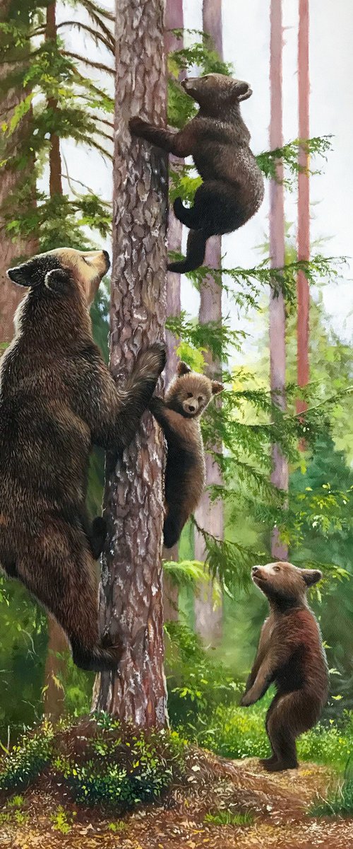 The bear-cubs are playing by Kakajan Charyyev