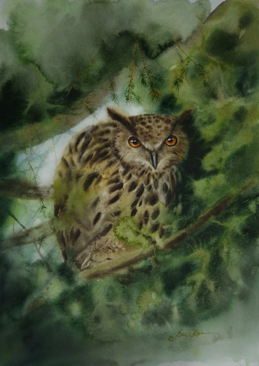 The Watchful Owl by Olga Beliaeva Watercolour