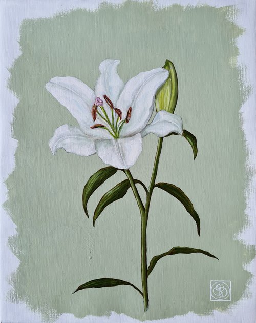 Oriental Lily Study 1 by Katia Bellini