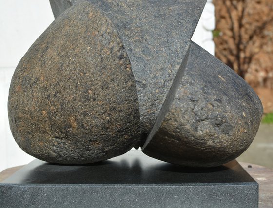 "Eka Pada Rajakapotasana"