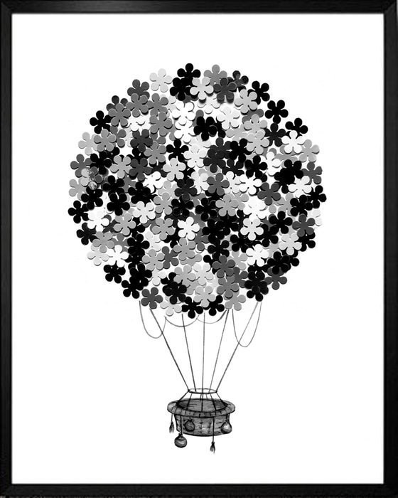 Black flower balloon, framed