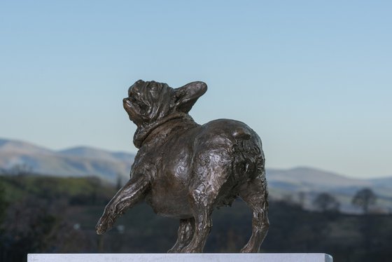 French Bulldog Lifting Paw BR