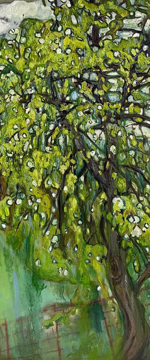 "Pear tree'' by Raffi Ghazaryan