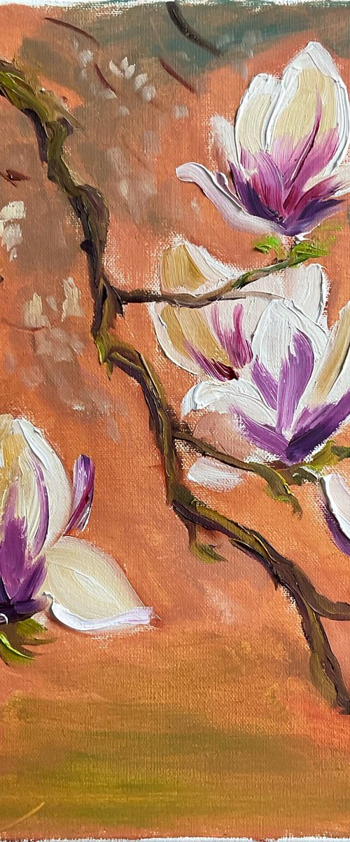 Dutch Magnolia by Dmitry Fedorov
